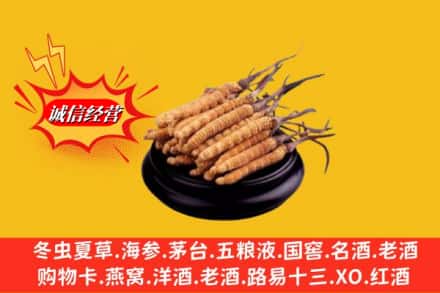 南充高坪区求购回收虫草多少钱每克